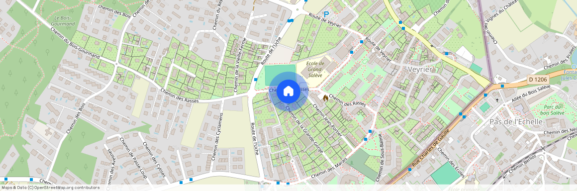 chemin des Rasses 88A, 1255 Veyrier