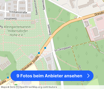 Dachgeschoss • ruhige Lage • 2-Zimmer • viel Grün • Hilbersdorf • T... - Foto 1
