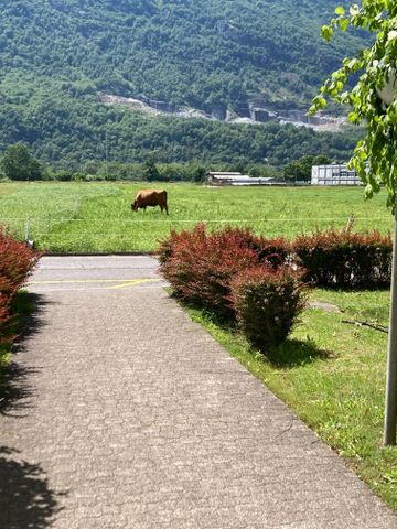 Luminoso 3.5 locali con balcone e parco - Photo 3