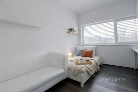 Pronájem bytu 6+kk s bazénem - Fotografie 2