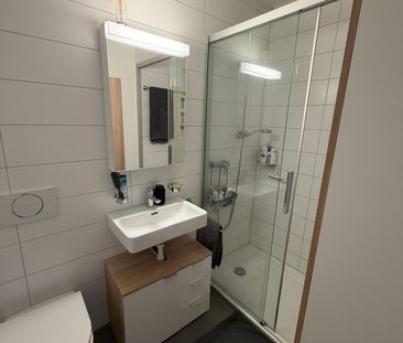 4.5-ROOM APARTMENT IN AARAU (AG), FURNISHED, TEMPORARY - Photo 6