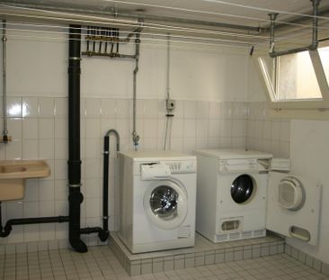 5.5 Zimmer Reihen-Eckhaus - Photo 6