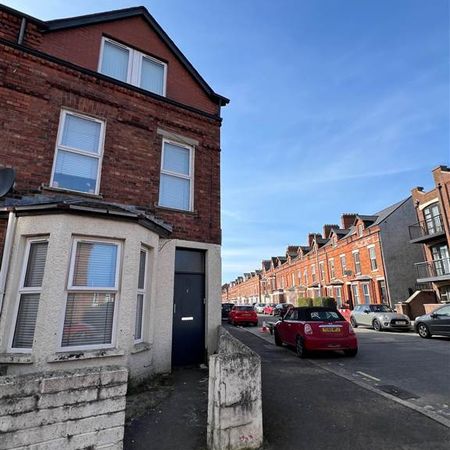 1 Westminster Street - Flat 1, Belfast, BT7 1LA - Photo 4