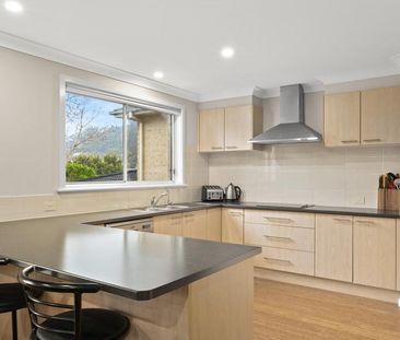 Sunny Spacious Family Home - Photo 2