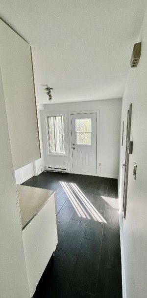 Superbe 3 ½ ensoleillé, libre maintenant, triplex, 2 ième étage, très propre - Photo 1
