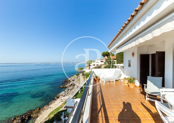 Flat for rent with Terrace in Port d’Alcúdia - Platja d'Alcúdia (Alcúdia)