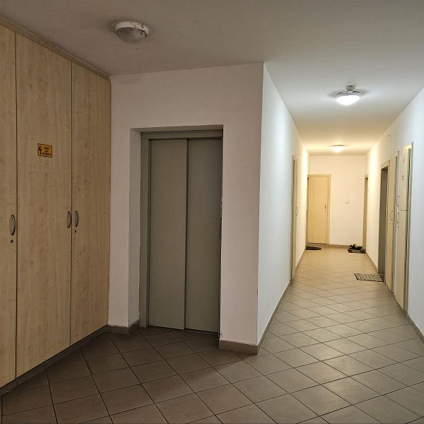 Kiadó jó állapotú lakás - Vác - Photo 1