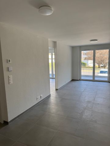 2.5 Zimmer, 54 m², 1. Stock - Foto 4