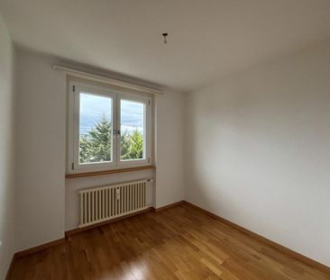 Cozy 4.0 room apartment near the lake - Foto 2