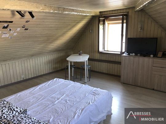 Location Appartement 1 pièce 18m² REMIREMONT 88200 - Photo 1