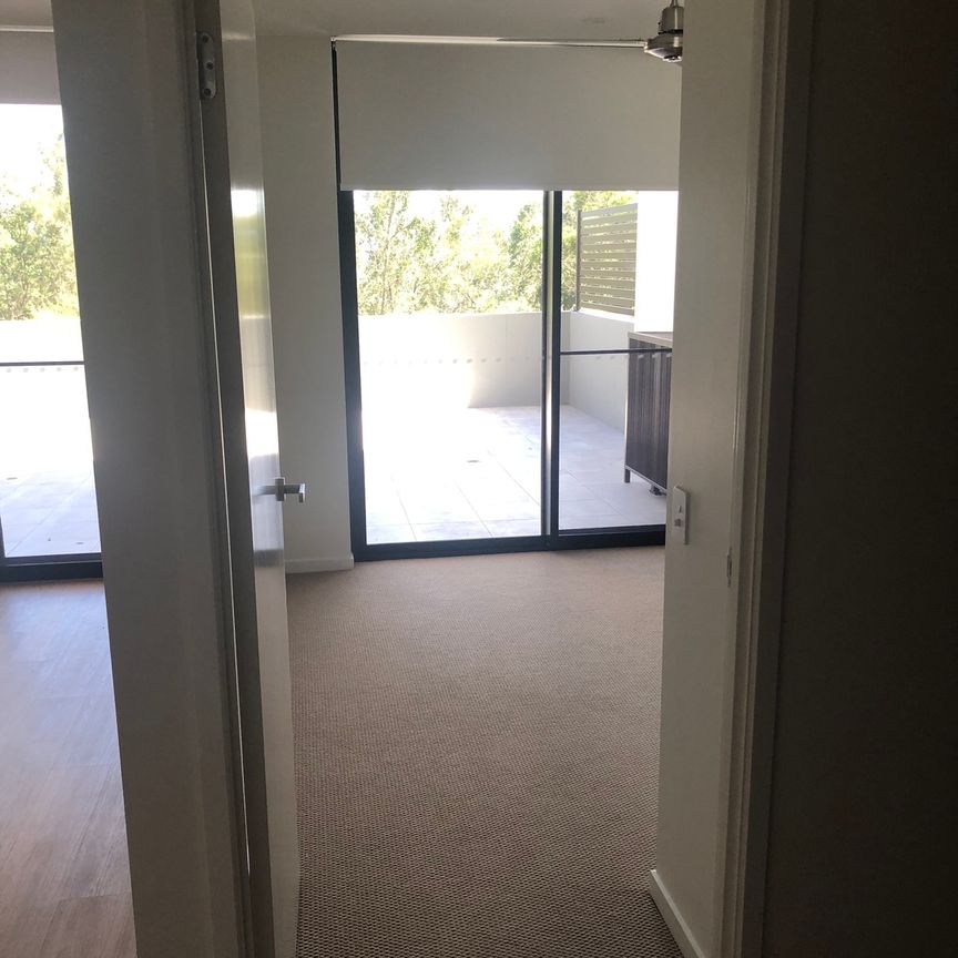 3111/4 Oaky Creek Road, Coomera QLD 4209 - Apartment For Rent | Domain - Photo 1