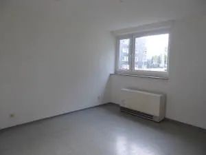 Tageslichthelle 3-Zimmer-Wohnung mit Balkon - Foto 3