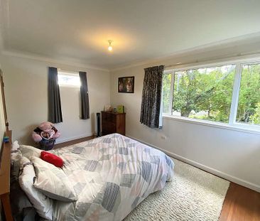 12 Norman Rd, Titirangi - Photo 5