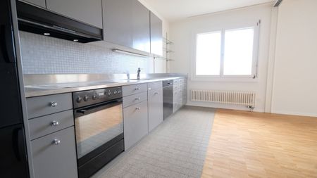 Ruhige Seitenstrasse am Stadtrand von Basel - Photo 3