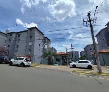 Apartamento com 2 quartos e 43m² para alugar em Morro Santana, Port... - Foto 1