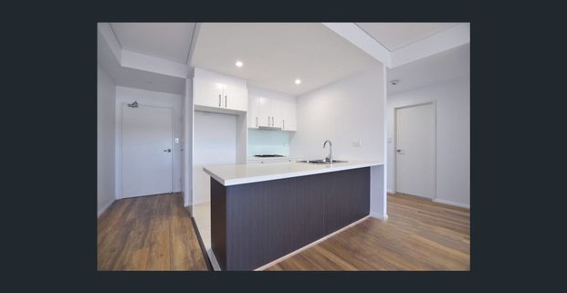 Luxury Two Bedroom Two Bathroom For Lease! - Photo 1