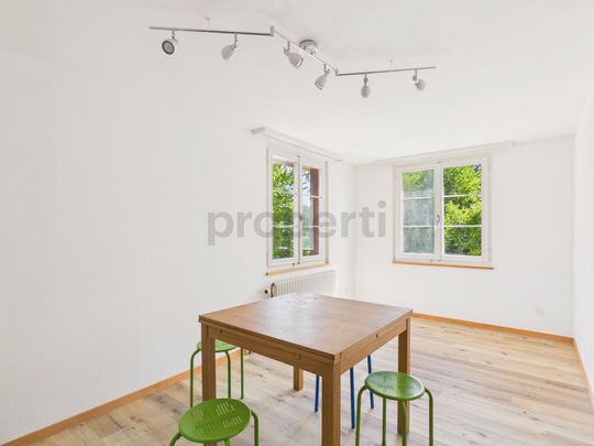 Newly renovated 4.5-room condominium with basement, Amriswil - Photo 1