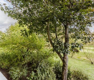 Poznań, Oświecenia - Фото 3