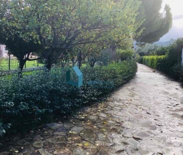 Διαμέρισμα για ενοικίαση Άγιος Βασίλειος (Ρίο) - Photo 2