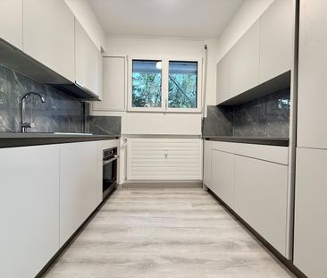 UP TO 3 MONTHS FREE -3.5 renovated rooms in Coldrerio - Photo 6