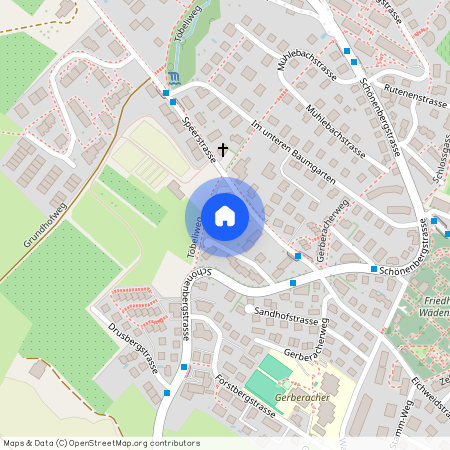 8820, Wädenswil, Speerstrasse, 11