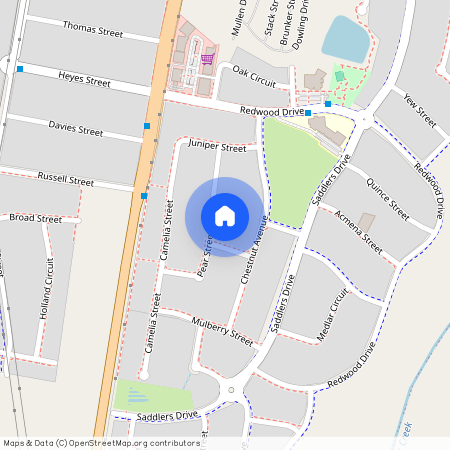 37A Pear St, NSW 2321, Gillieston Heights