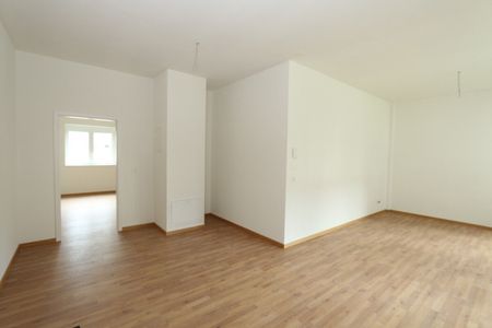Large renovated apartment - Photo 4