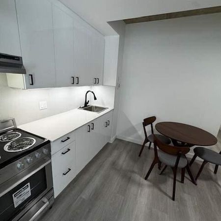 ENSOLLEILLÉ - GRAND SPECTACULAIRE - 3 CAC FERMÉES - Photo 3