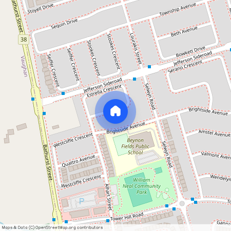 81 Estrella Crescent, Richmond Hill