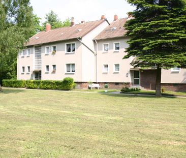 Wohnen im Grünen in der Eichkampsieldlung! - Photo 5