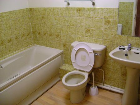 1 bedroom in a flat share to rent - Photo 4