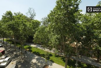 barcelona, Catalonia 08005