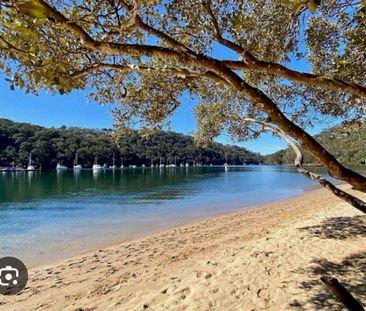 Forestville - Photo 6