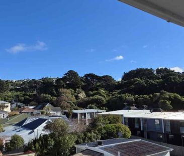 D10/13 Palm Grove, Berhampore - Photo 4