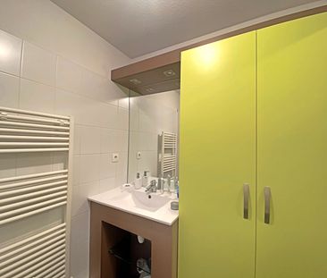 Location Appartement 1 pièce 26m² - Photo 6