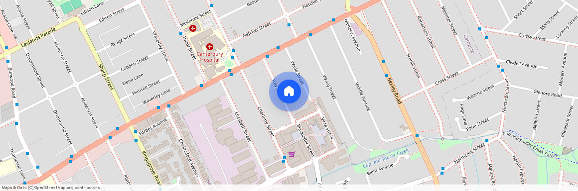 18 Troy Street, Campsie, NSW 2194