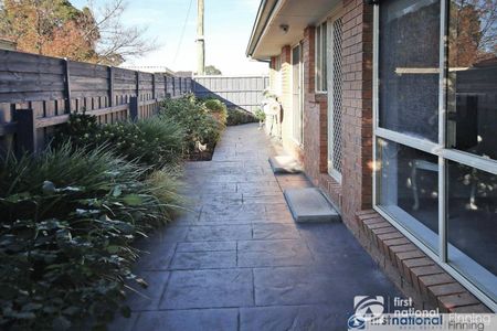 Leave the car at home! - Photo 2