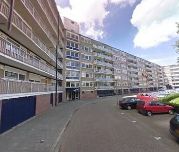 Kruiskampsingel 0ong, 5224 's-Hertogenbosch, Nederland - Foto 2