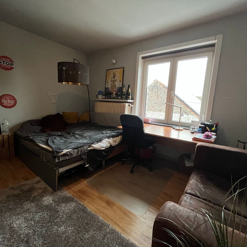 Kamer 4 - Zwijnaardsesteenweg 15 - Foto 1