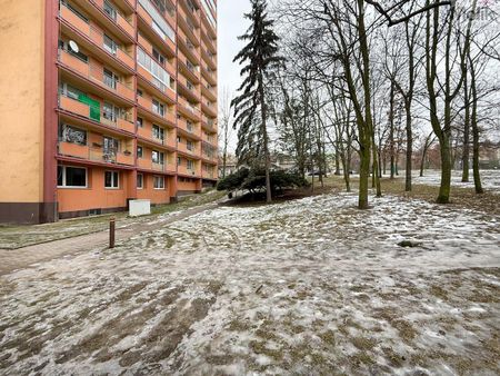 Pronájem bytu 2+1 49 m² - Фото 5