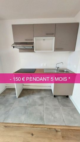 Location Appartement 3 pièces 58m² BRUGUIERES 31150 - Photo 2