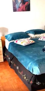 SUPERBE HAUT DUPLEX TT MEUBLÉ/INCLUS-6MN M°D'IBERVILLE-HEC-UDEM-POLY - Photo 4