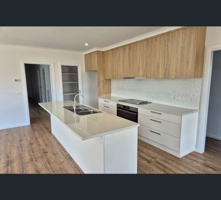 12 Shellbrook Avenue, Thurgoona, NSW 2640 - Photo 4