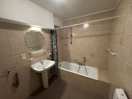 Appartement te huur in het gezellige Moerbeke - Foto 5