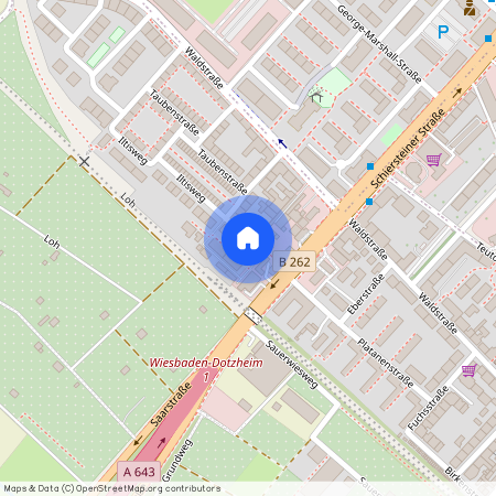 Iltisweg 4, 65197, Wiesbaden Ot Biebrich