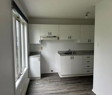 1075 Boulevard Maloney Est (Gatineau) Beau 3 1/2 - Photo 1