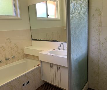 Three Bedroom Home with Large Shed - Photo 4