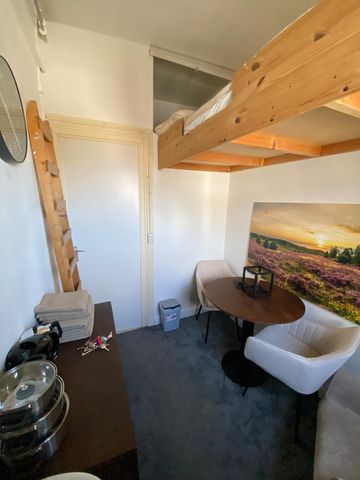 Te huur: Kamer Fahrenheitstraat in Den Haag - Photo 4