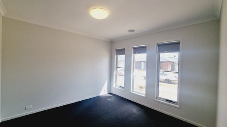 Bright & Beautiful! - Photo 4