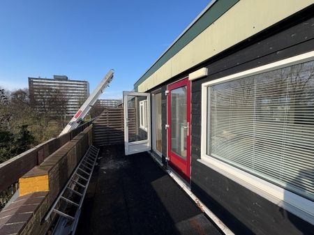 De Anjen 58 - Photo 4